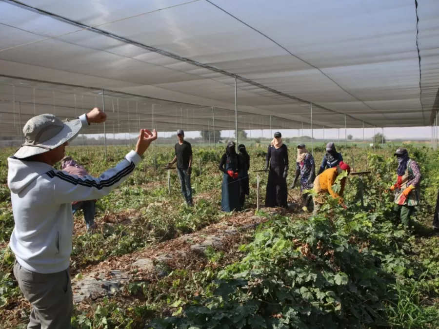 مدار الساعة,أخبار الأردن,اخبار الاردن