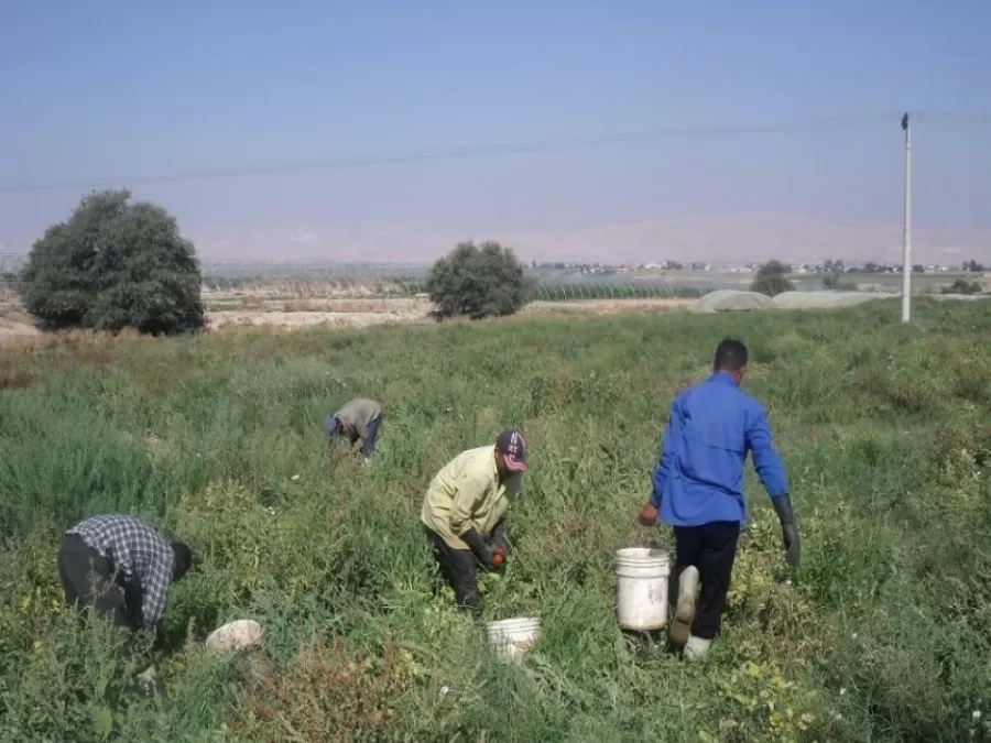 مدار الساعة,أخبار الأردن,اخبار الاردن,هيئة النزاهة ومكافحة الفساد