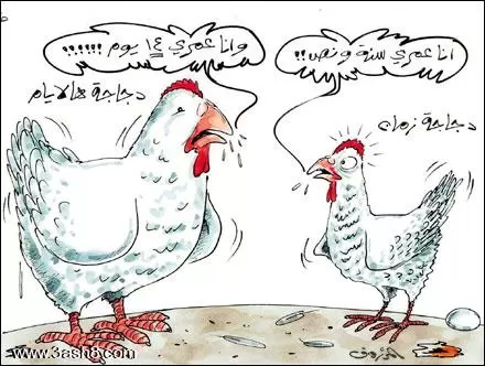 مدار الساعة