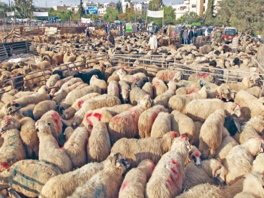 مدار الساعة,أخبار الأردن,اخبار الاردن