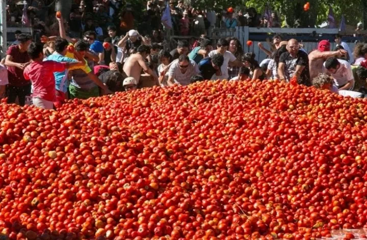 مدار الساعة,أخبار خفيفة ومنوعة