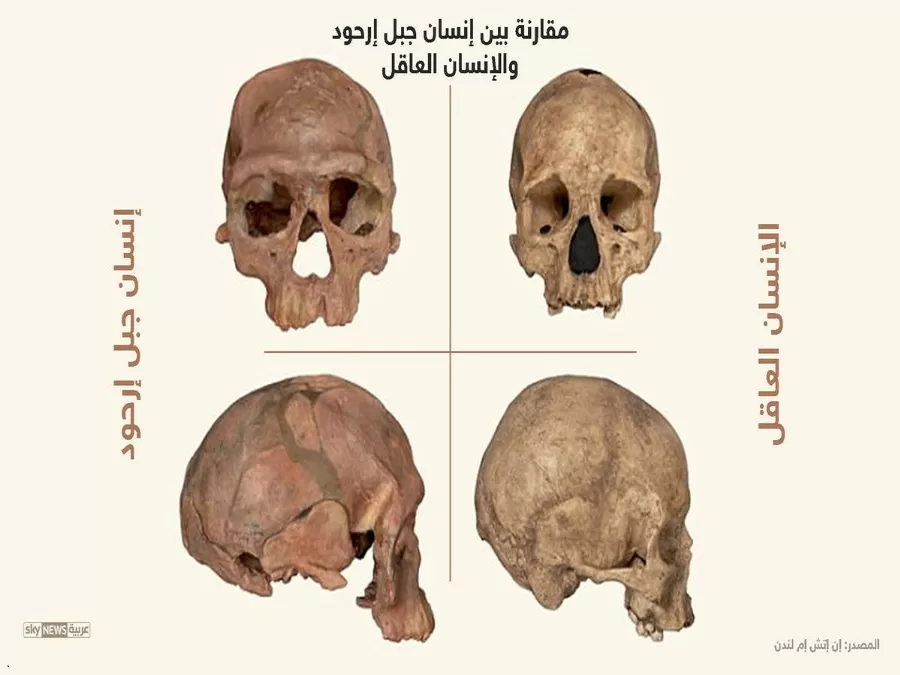 مدار الساعة,أخبار خفيفة ومنوعة