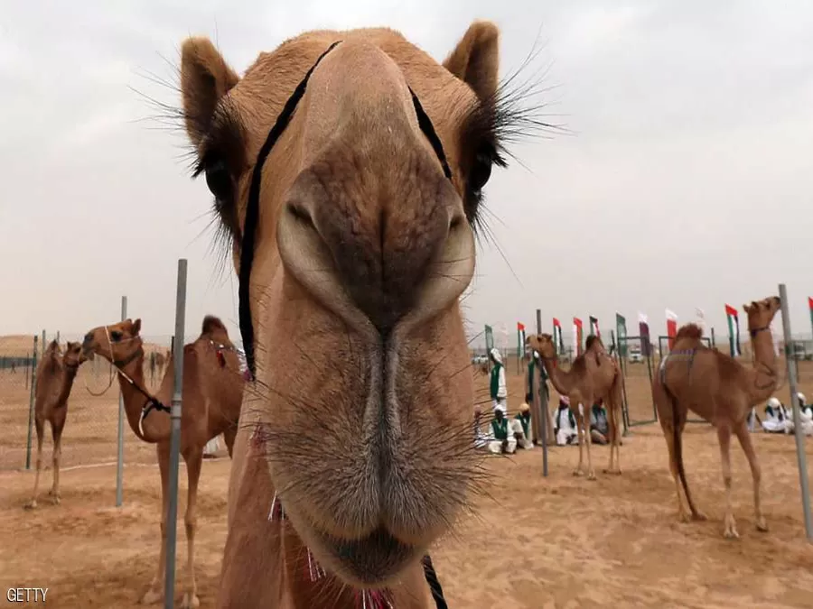 مدار الساعة,أخبار خفيفة ومنوعة