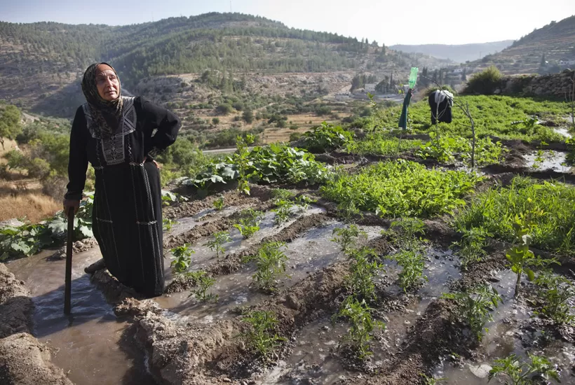 مدار الساعة,أسرار أردنية,رئيس الوزراء