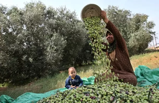 مدار الساعة,أخبار خفيفة ومنوعة