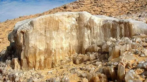 مدار الساعة,أخبار خفيفة ومنوعة