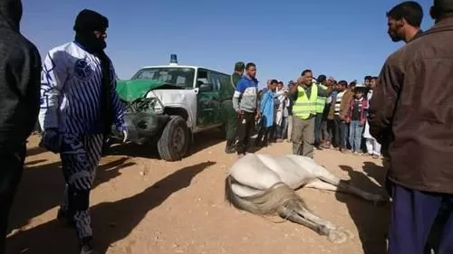 مدار الساعة,أخبار خفيفة ومنوعة,مواقع التواصل الاجتماعي