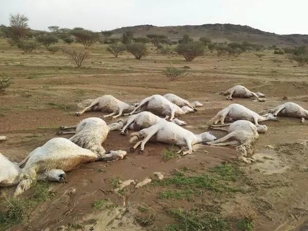 مدار الساعة,أخبار الأردن,اخبار الاردن,وكالة الأنباء الأردنية,البحث الجنائي