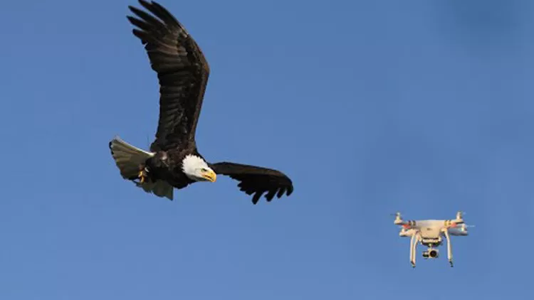 مدار الساعة,أخبار الأردن,اخبار الاردن