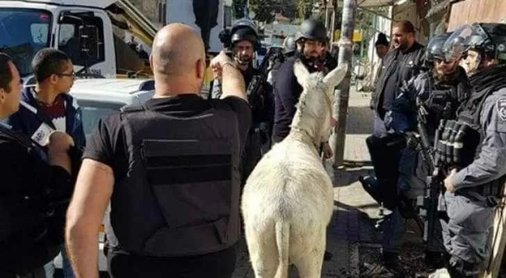 مدار الساعة,أخبار عربية ودولية