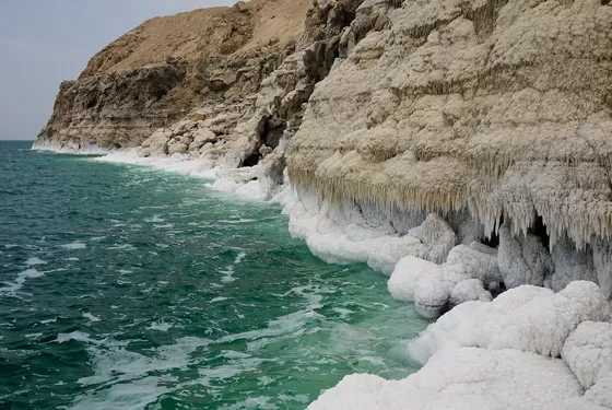 مدار الساعة,أخبار الأردن,اخبار الاردن,سلطة وادي الأردن,الجامعة الأردنية