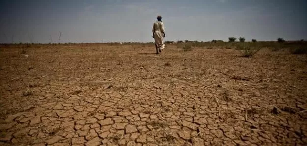 مدار الساعة,أخبار خفيفة ومنوعة