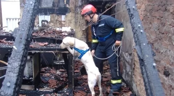 مدار الساعة,أخبار خفيفة ومنوعة