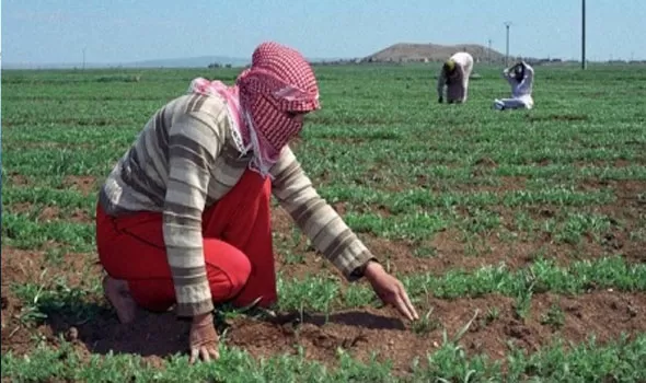 مدار الساعة,أخبار الأردن,اخبار الاردن