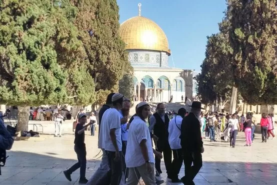 مدار الساعة,أخبار عربية ودولية,المسجد الأقصى