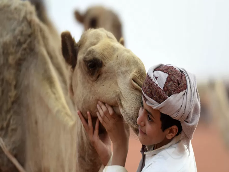 مدار الساعة,أخبار خفيفة ومنوعة,وزارة الداخلية,النيابة العامة