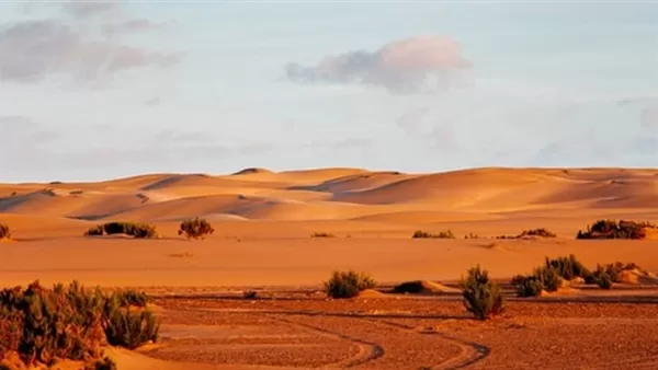 مدار الساعة,أخبار عربية ودولية