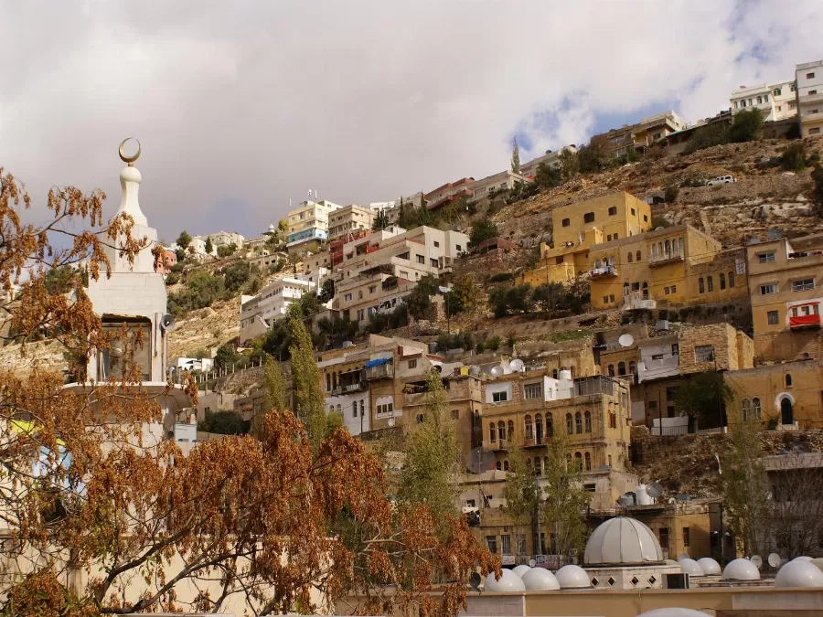 مدار الساعة,أخبار المجتمع الأردني,الملك عبدالله الثاني,وزارة التنمية الاجتماعية,التنمية الاجتماعية