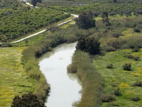 مدار الساعة,أخبار الأردن,اخبار الاردن,سلطة وادي الأردن,وادي الأردن