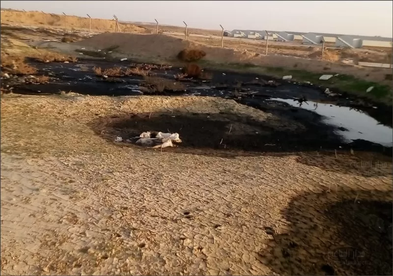 مدار الساعة,أخبار الأردن,اخبار الاردن