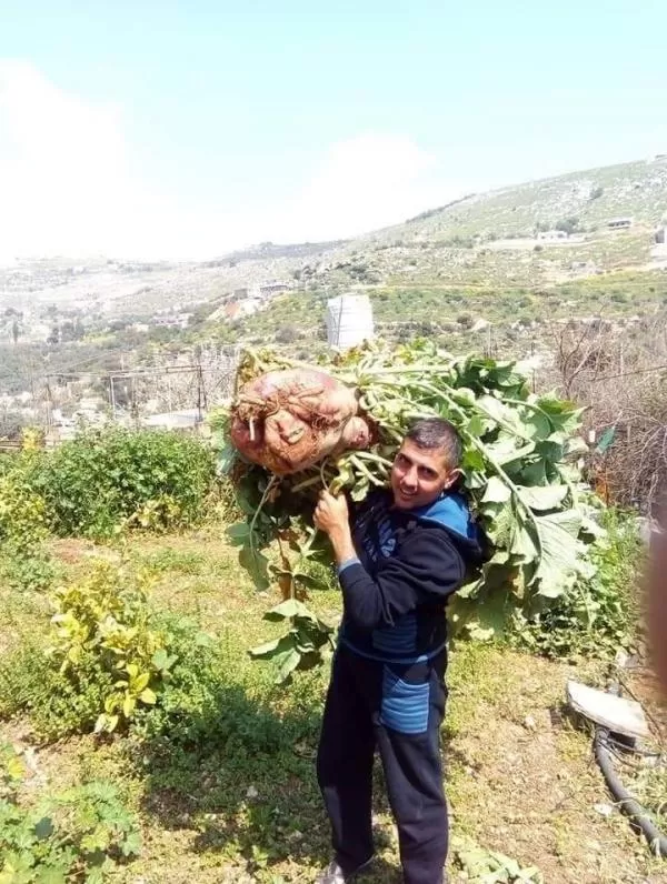 مدار الساعة,أخبار الأردن,اخبار الاردن,مواقع التواصل الاجتماعي