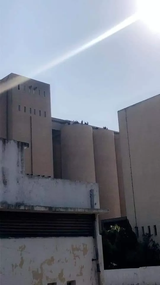 مدار الساعة,أخبار الأردن,اخبار الاردن