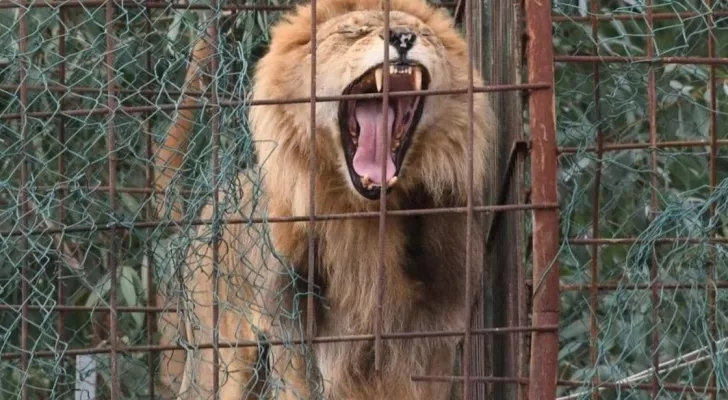 مدار الساعة,أخبار خفيفة ومنوعة