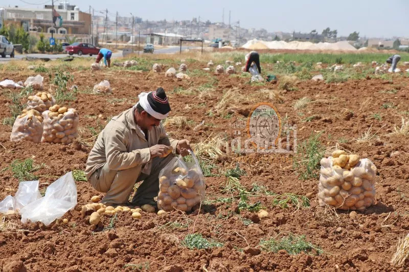 مدار الساعة,أخبار الأردن,اخبار الاردن
