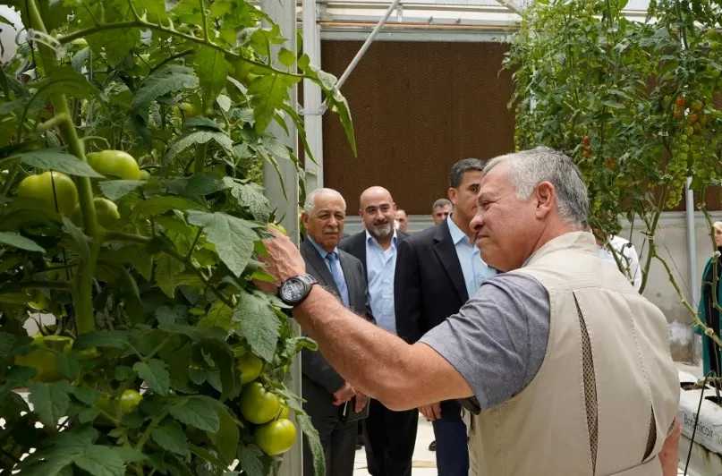 مدار الساعة,أخبار الأردن,اخبار الاردن,الملك عبدالله الثاني