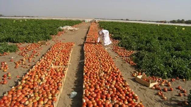 مدار الساعة,أخبار اقتصادية,وزير الزراعة,وزير البيئة,الملك عبد الله الثاني,وزارة الزراعة,عيد الجلوس