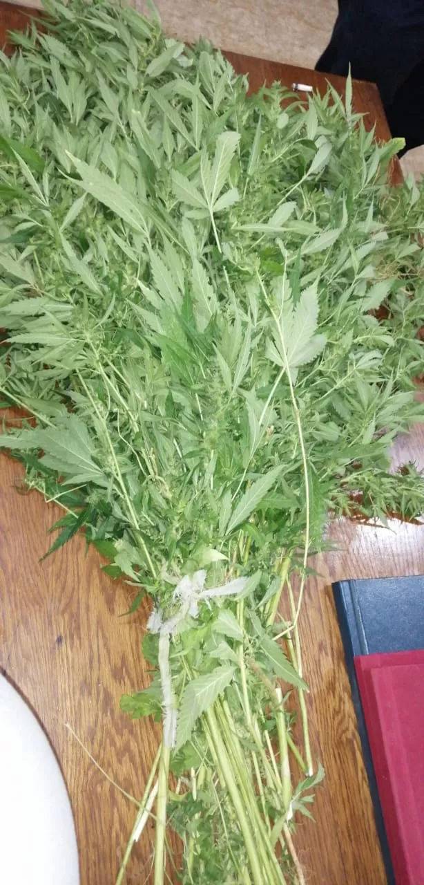 مدار الساعة,أخبار الأردن,اخبار الاردن